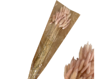מארז פרח מיניבנים 60 ס"מ - ורוד